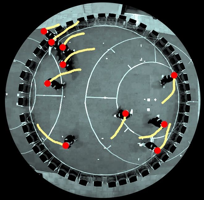 Les piétons ont un biais dans le sens inverse des aiguilles d'une montre, et nous ne savons pas pourquoi 2 20260905-compteur-3-L