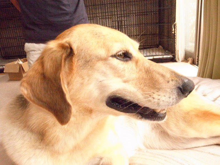 美しく、精悍な顔立ち