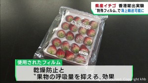 特殊なフィルムでイチゴを海上輸送　宮城大学などが研究