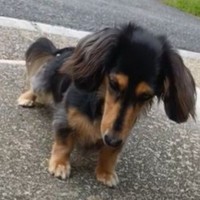 興味はあるんだけど…怖い！（ちょうぎさん提供）