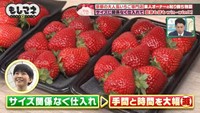 イチゴのサイズ関係なく仕入れ、農家の負担を減らす工夫をしている©テレビ大阪