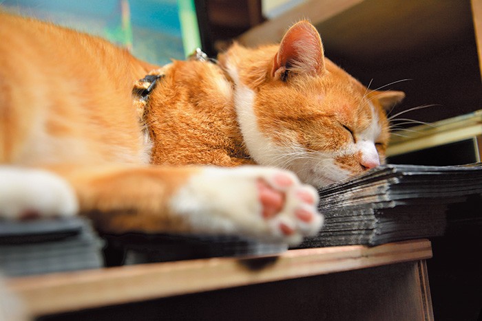 本原さんに見守られながら小休止。遊び疲れたのかな？