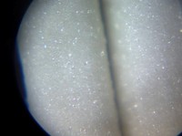 揖保乃糸特級。上級との差は細さだけ？