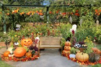 ハロウィーン仕様のフォトスポット