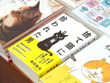 猫から学ぶ“脱力系人生論”　新しい猫本「捨て猫に拾われた男」