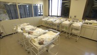 【解説】減り続ける分娩施設…分娩休止の背景は？