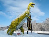 牙に生えたつららがヨダレのように見えた日も（提供画像）