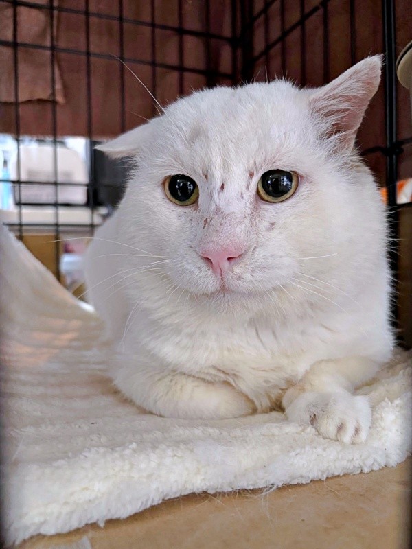 2025年12月、家族で保護されたあなごさん（画像提供：Hirokoさん）