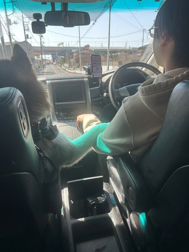 デートに出発？助手席のロズちゃん