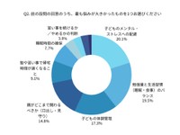 最も悩みが大きかったもの