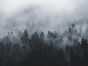 花束を買って、誓いをたてた。向き合い、受け入れることで強くなれる