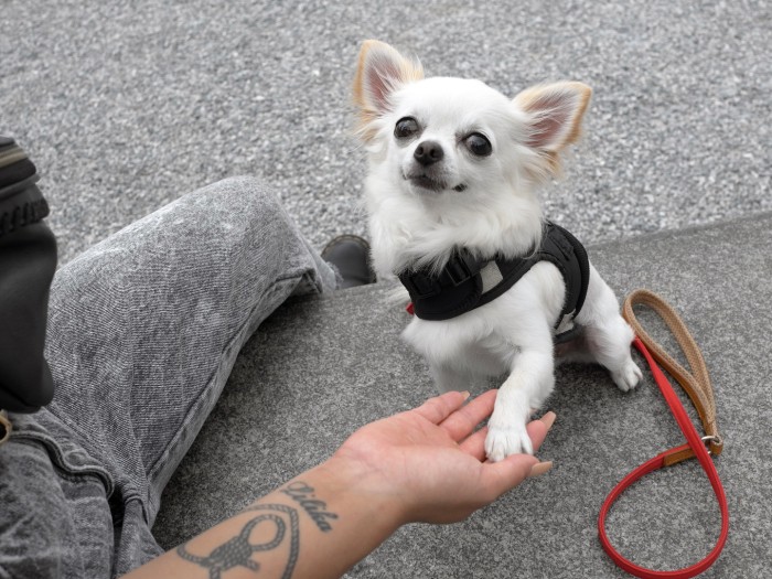 かっこいいオテをキメるティーダ