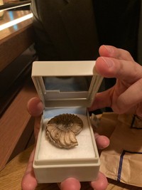 箱の中身はアンモナイト＝長瀬まぐまさん（@nagase_h）提供