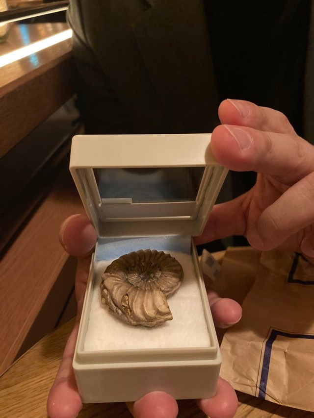 箱の中身はアンモナイト＝長瀬まぐまさん（@nagase_h）提供
