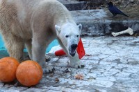 牛脂＝2025年12月