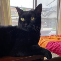 この場所では甘える