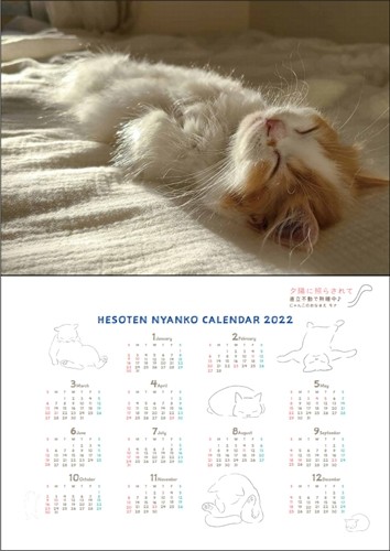 １年中のへそ天で高齢者に笑顔を届けたい（へそ天プロジェクト提供）