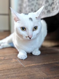 最期まで生きることを諦めない、頑張り屋さんだった