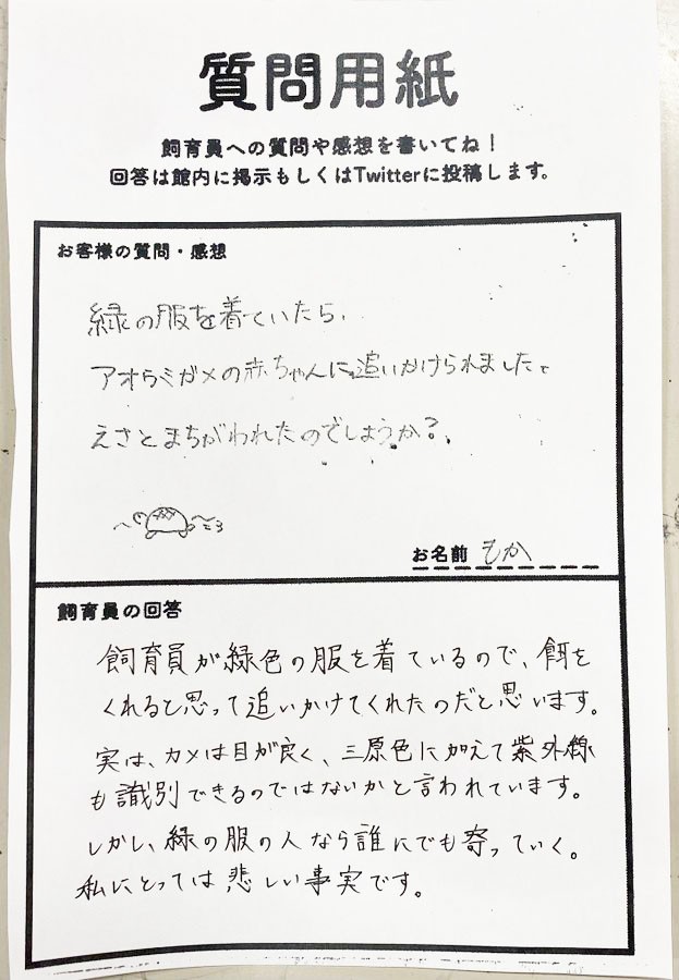 思わず笑ってしまう結びの一文、SNSでも「この質問コーナー好きです」との声が集まる理由なんでしょうね（画像提供：道の駅ウミガメ公園【公式】）