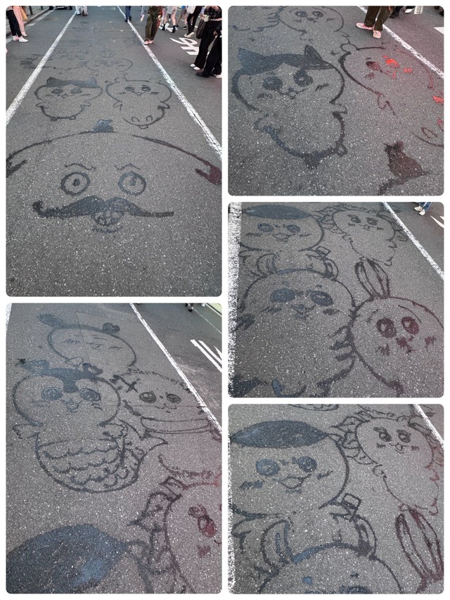 （ちょちょさん提供）