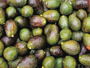 アボカドの行き先で世界経済を読む