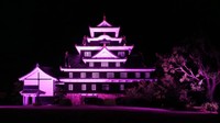 デフリンピック開催にあわせ岡山城をさくら色にライトアップへ　開会式の15日