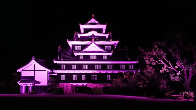 デフリンピック開催にあわせ岡山城をさくら色にライトアップへ　開会式の15日