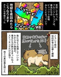 【漫画】『知的好奇心が地獄を引き寄せた話』36（ゆう｜ノープロブレムキャットさん提供）