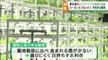 サステナブルな「農業工場」
