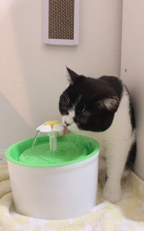 うん、この水も悪くはないな（提供）