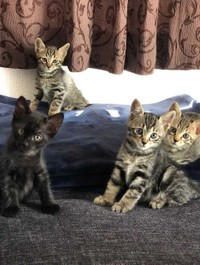 ずっと仲良しでいようね