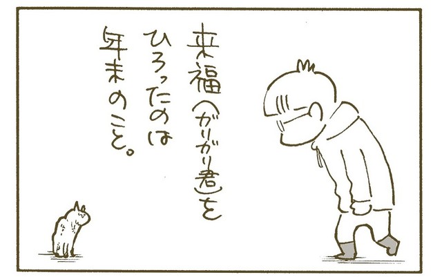 年末に拾ったガリガリな猫（くるねこ大和さん提供）