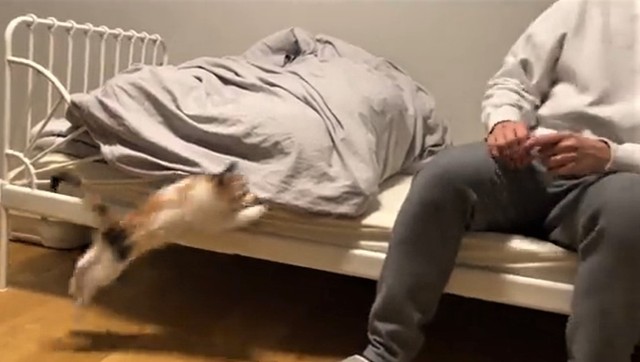 ジャンプ！（かにさん提供、twitterよりキャプチャ撮影）