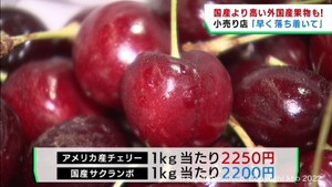 円安の影響で外国産の果物も値上げ　国産よりも高いケースも