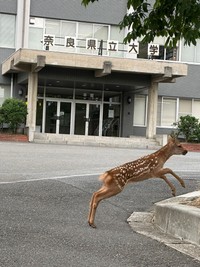 本館前でジャンプ！（画像提供：奈良県立大学）