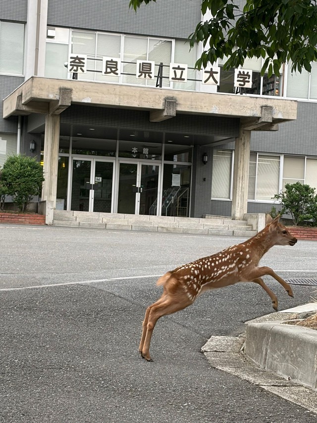 本館前でジャンプ！（画像提供：奈良県立大学）