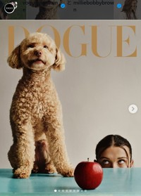 「VOGUE」の表紙が「DOGUE」に!?愛犬ウィニーが登場＝ミリー・ボビー・ブラウンのインスタグラム＠milliebobbybrownより