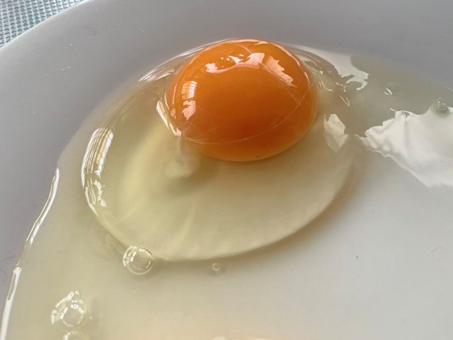 撮った写真② ※Yasさん提供