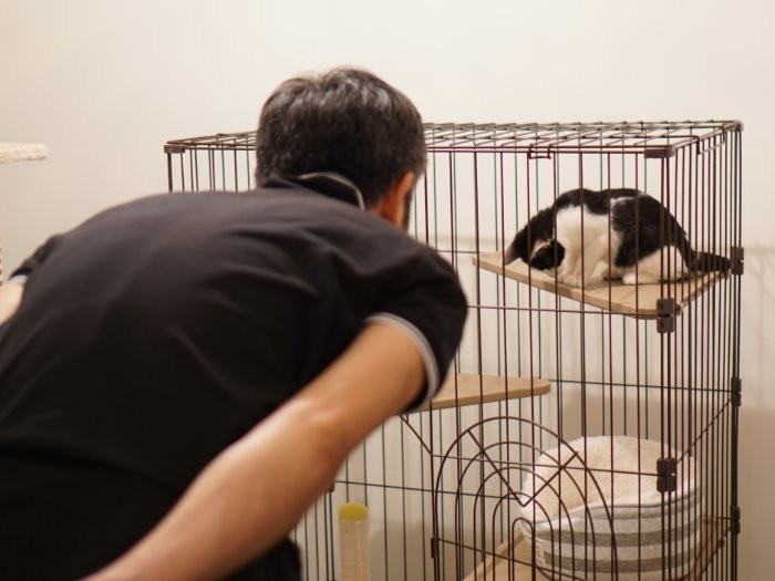 「何してるのかな？」ハマチの様子を見る智樹さん