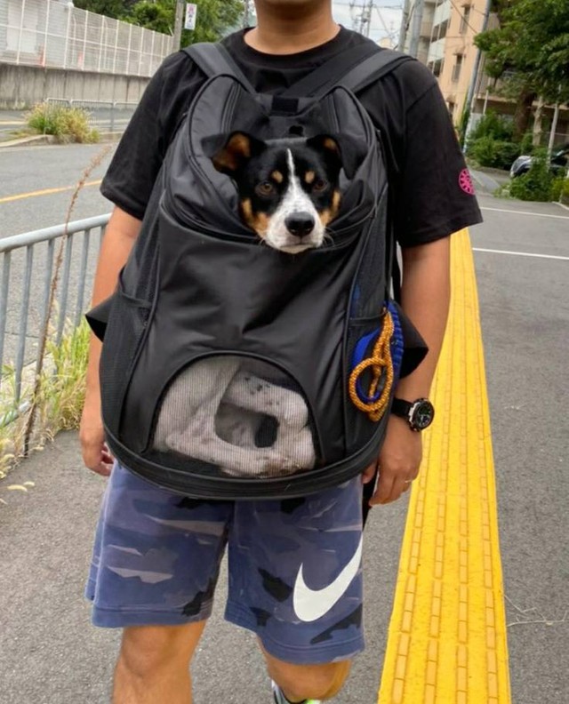 ブルーノ君に使っていたバックでサニー君と移動