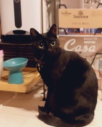 ごはんがもうないよ＝nkknrkさん提供