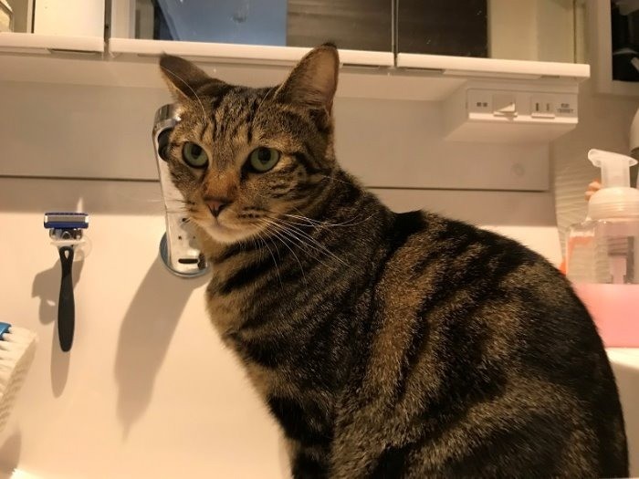 お風呂場が大好き