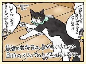老猫記事一覧  犬・猫との幸せな暮らしのためのペット情報サイト「sippo」