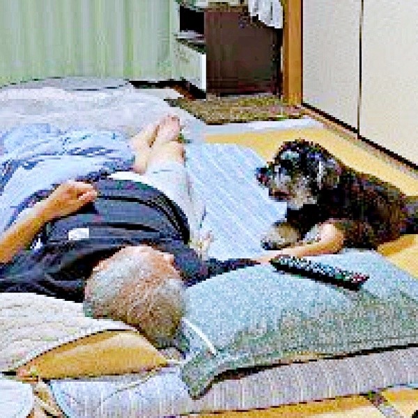 AI画像を作るために使用した写真。祖父とセブンくんのほっこりした光景でした（画像提供：本日のセブンさん）