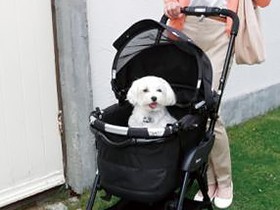 車も住宅もペット目線で　広がる市場、異業種が続々