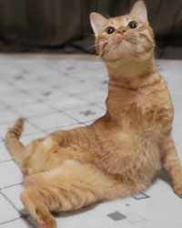 アシカみたい？でも、ママはどんな僕だって可愛いって