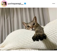 21年9月の柳ゆり菜インスタグラム＠yurinayanagi__より