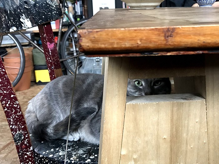 そろそろ遊ぼうか？