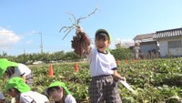 農マル園芸吉備路農園　岡山県総社市