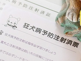 人間の言葉を話さないペット　健康診断で早期の異常発見を